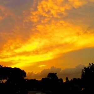 Meet your Posher, Janice